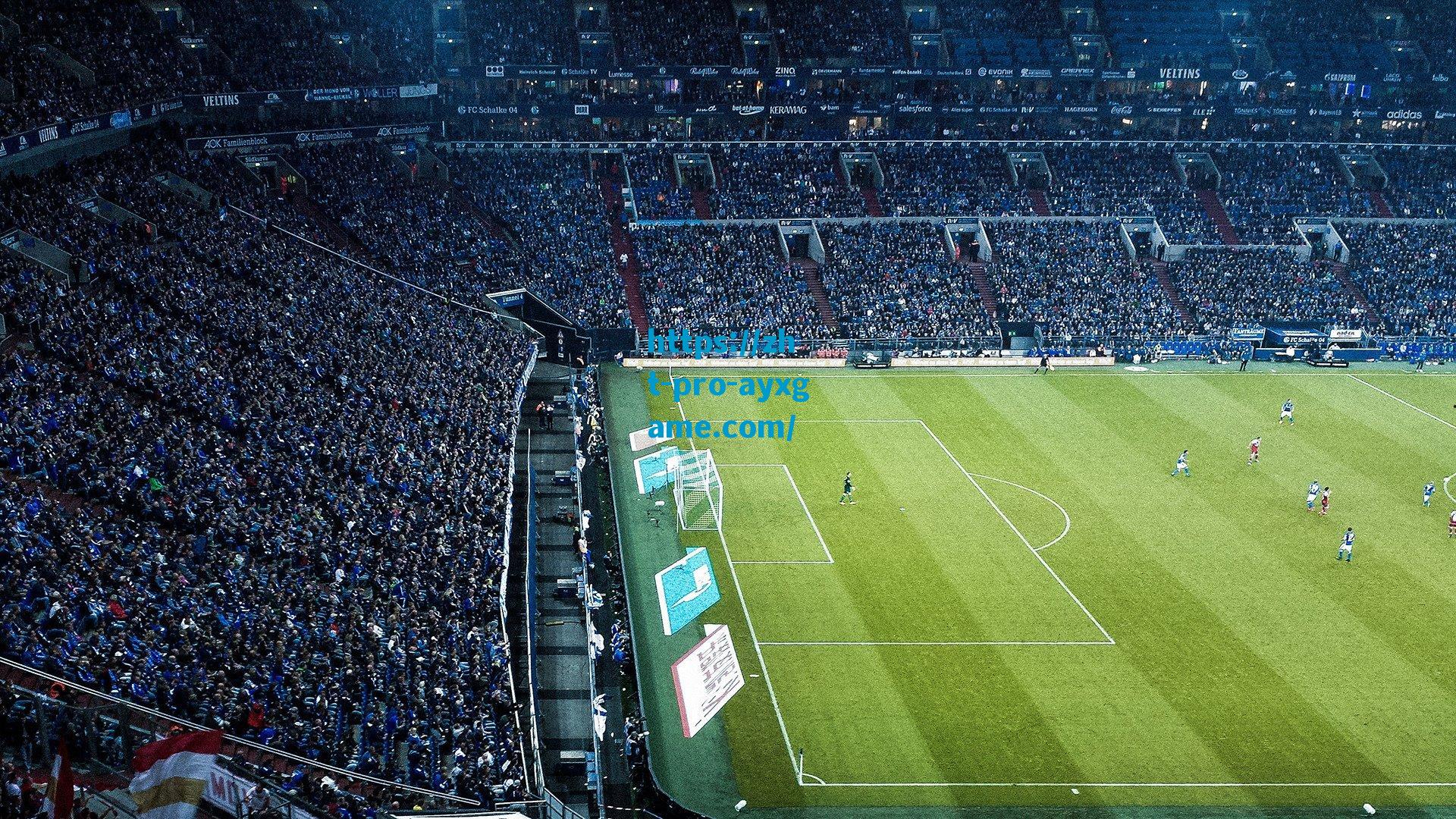 球迷高呼大爹引发热议 巴里-布朗淡然回应，虽困惑但视作鼓励